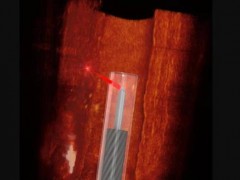 使用3D微型打印技術開發了 上 小的靈活血管內窺鏡